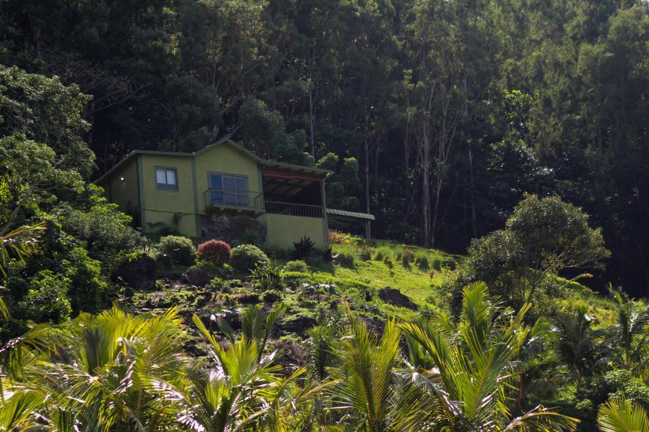 The Green Shack Quatre Soeurs Exterior photo