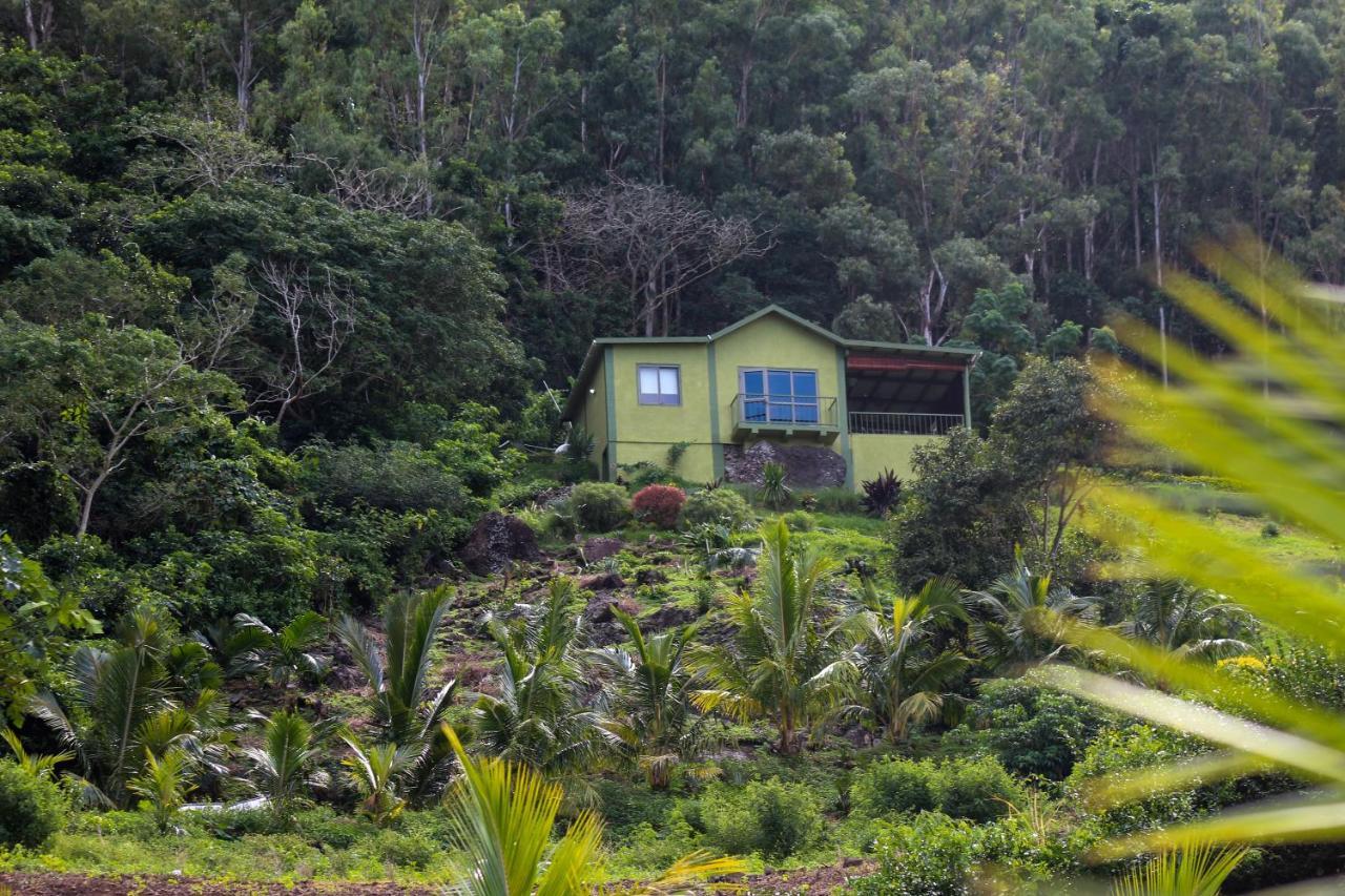 The Green Shack Quatre Soeurs Exterior photo